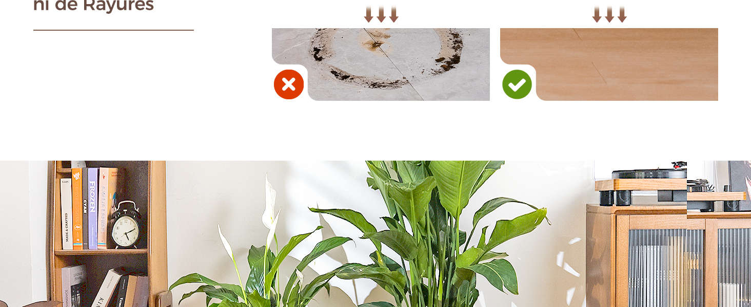 Image fractionnée comparant le placement du collier. La gauche montre un placement incorrect sur le cou. La droite montre le placement correct sur la clavicule. Ci-dessous, scène intérieure avec de grandes plantes vertes et des étagères en bois