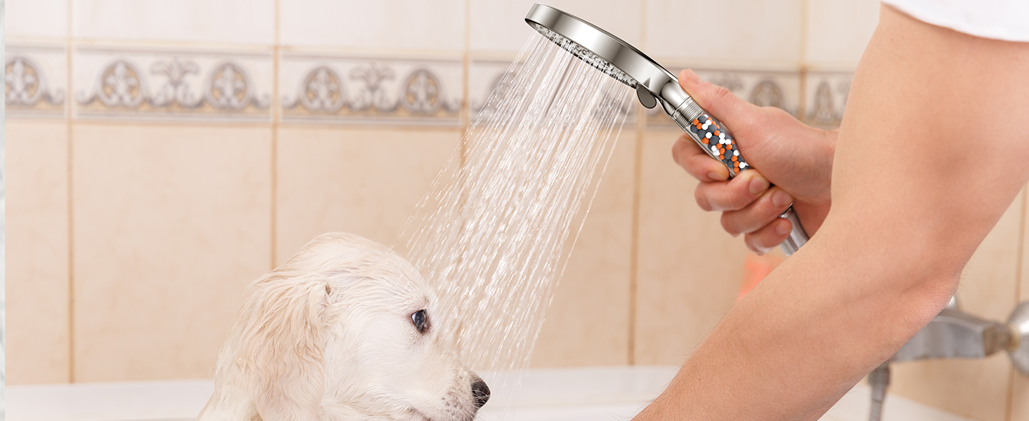 pulvérisant de l'eau sur un chien blanc dans une baignoire. Le pommeau de douche présente une finition chromée et est tenu par la main d'une personne.