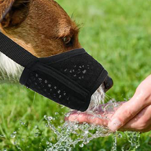 dog muzzle