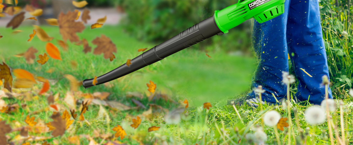 Souffleur de feuilles sans fil