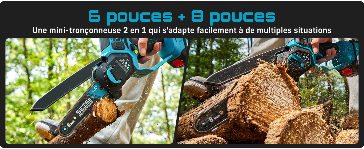 Le texte indique « 5 pouces x 6 poches ». Série d'images de terrariums ou d'habitats de reptiles montrant divers lézards en milieu naturel.