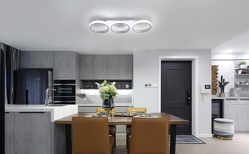 cold white LED ceiling light