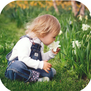 Comme cadeau pour les amateurs de jardinage