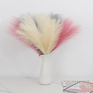 erba colorata della pampa