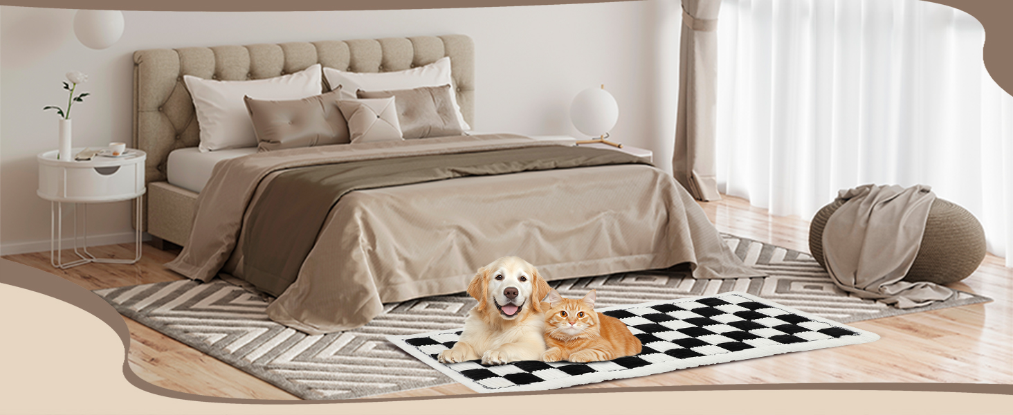 Pet Couch Cover