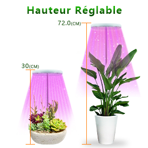 plant lamp