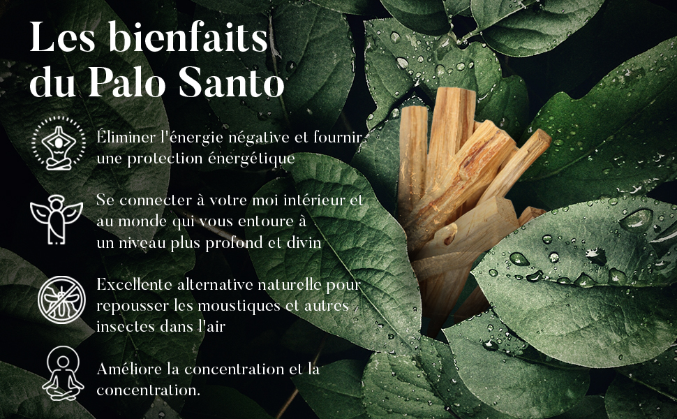 Los beneficios del Palo Santo