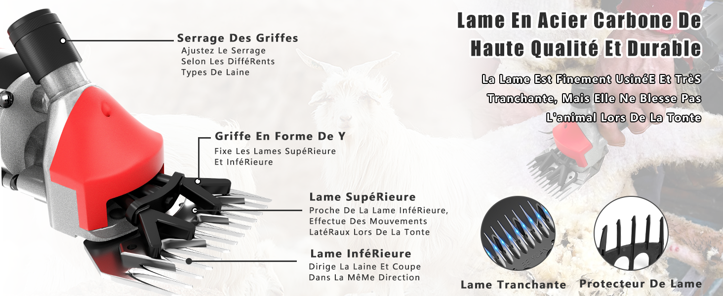 Lame de haute qualité