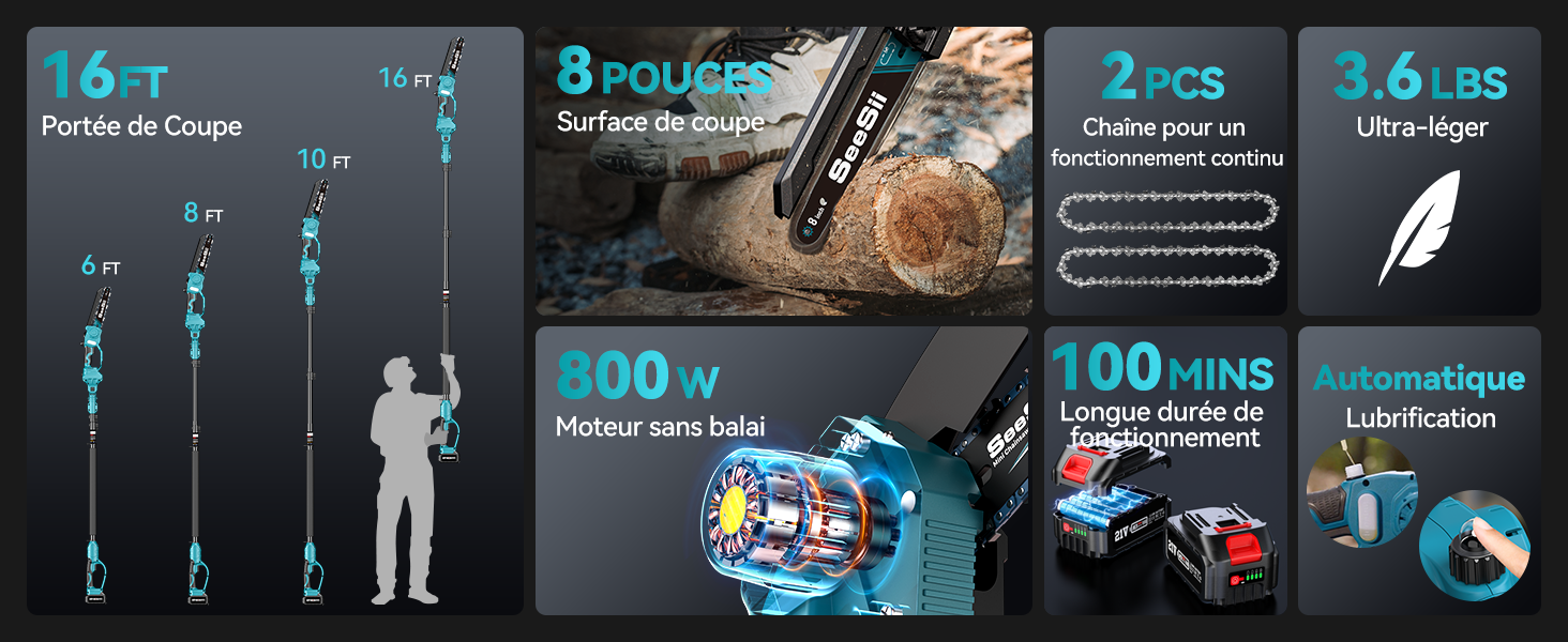 Seesii Mini tronçonneuse 2 en 1 de 8 pouces avec télescope