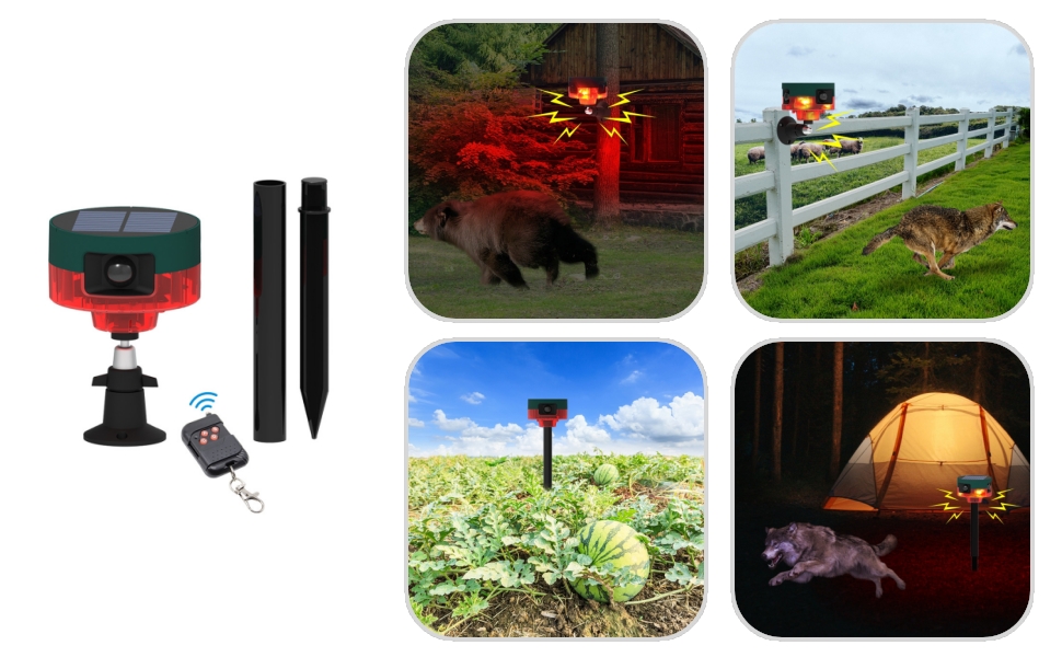 aplus content image