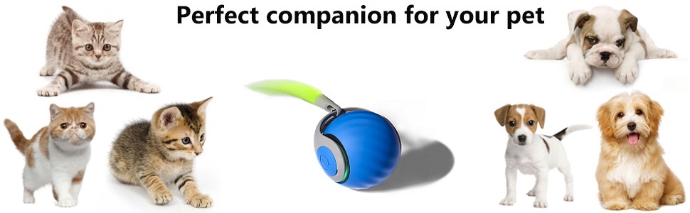 aplus content image