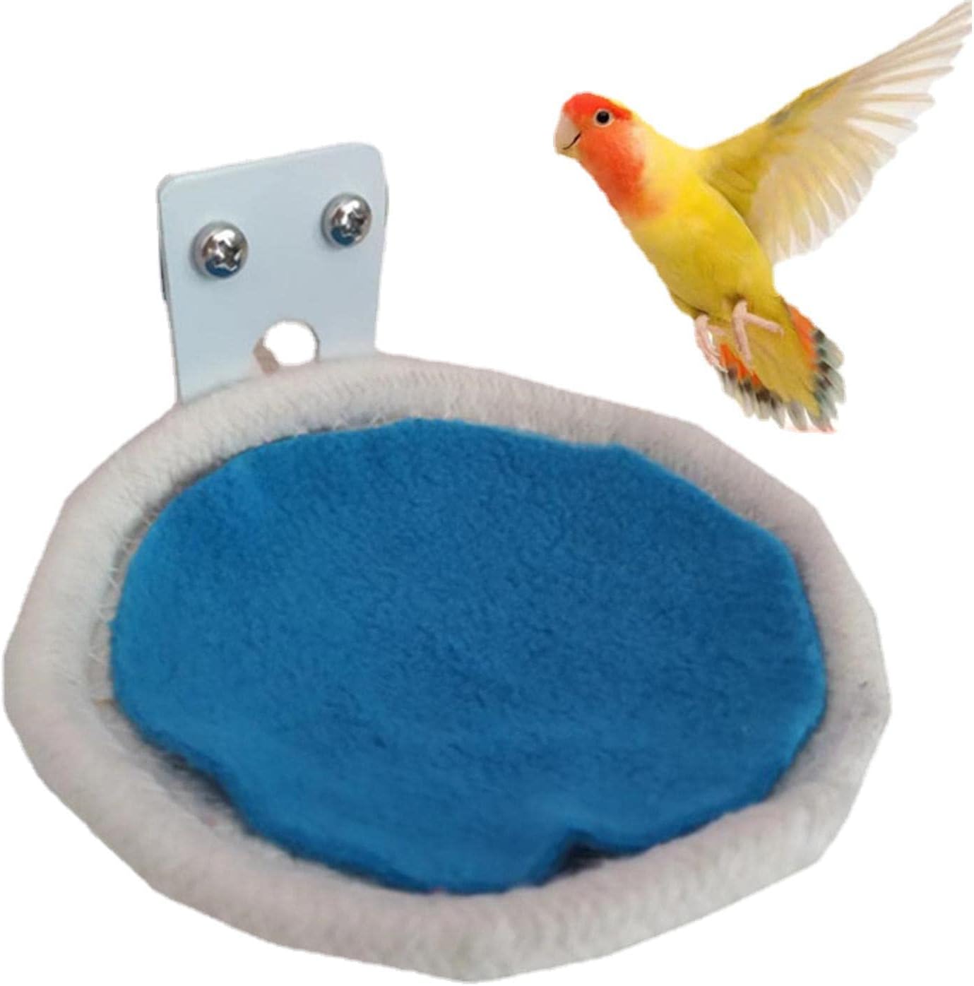Nid de Perruche - Nid d'élevage pour Petits Oiseaux pour Perruche ...