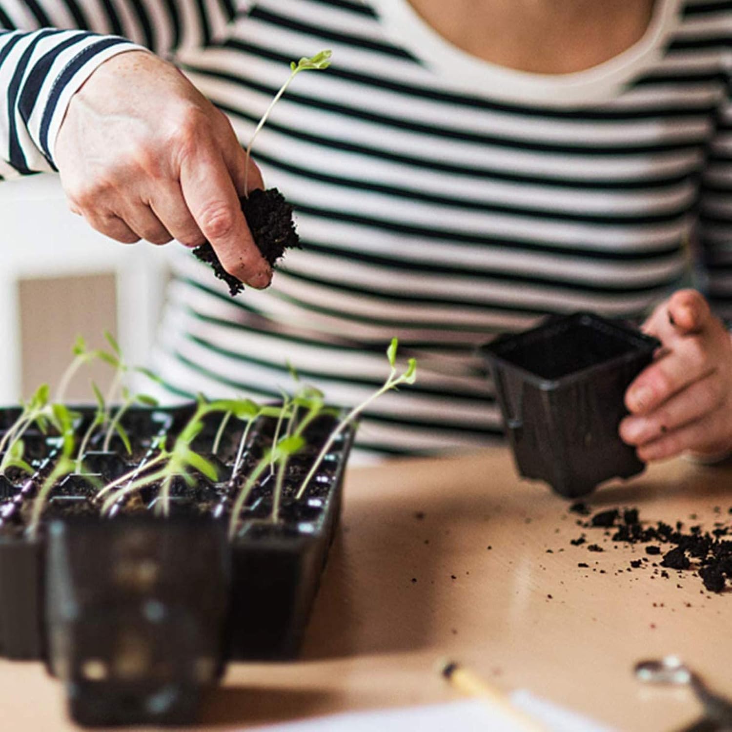 5/10 Godets De Semis En Grille Bac à Semis,32 Trous Plateau De Germination, Mini Serre Pour Plantes, Plaque Frontale Biodégradable Boîte De Pépinière De Pulpe De Jardinage (5PC) -Terre Tendre Soldes Boutique AAHKMJXYDAFdJAOAIMEbOAchlkWZ0oakZn uVZ0mPidMNbILvCvspZ4oG3fPgIqc1P2bHdLIsgML eAiI7dlWpelXtnubFRZ epsyvg HJvDSQ==