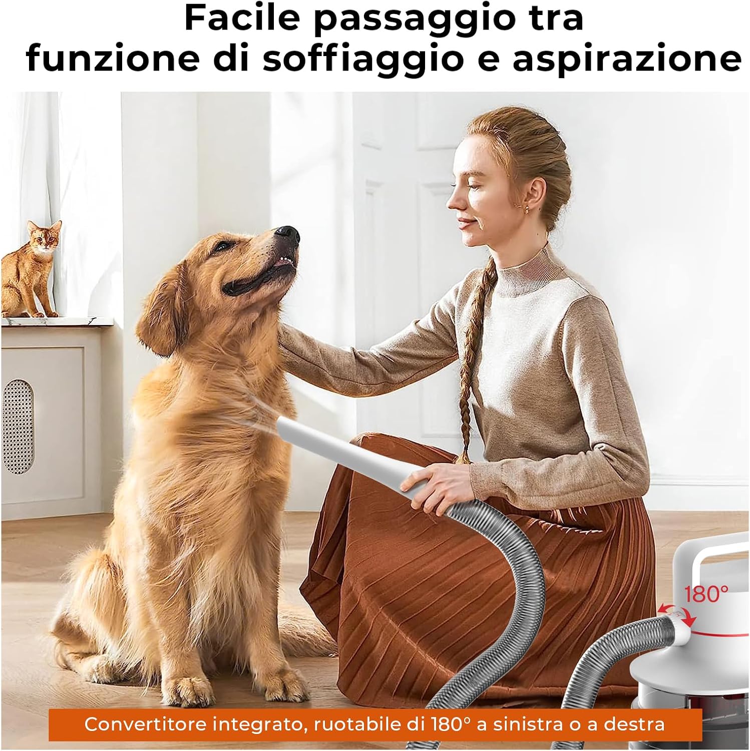 Illustrazione delle diverse spazzole e funzioni