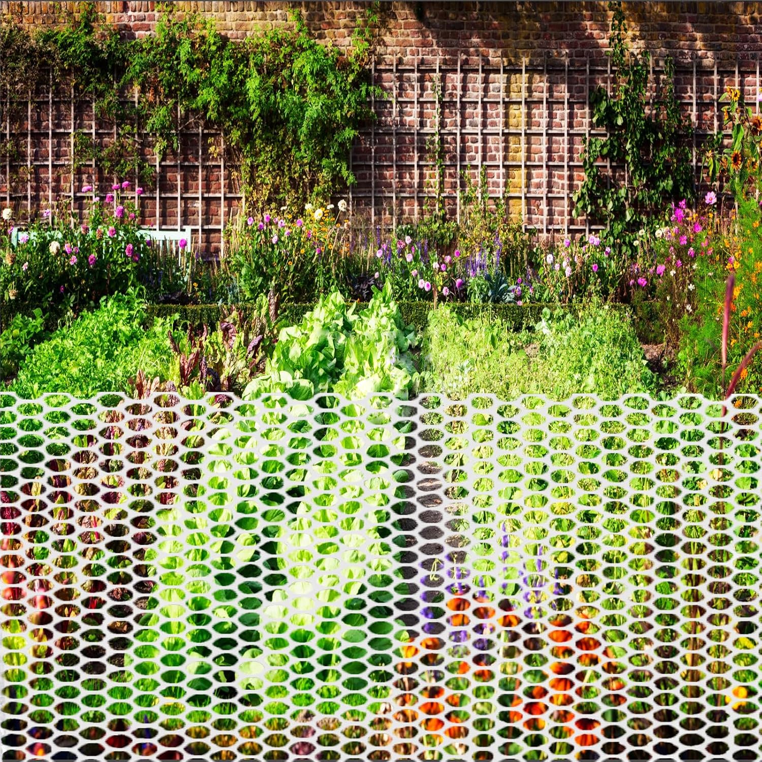 Rouleau De Filet à Poules 40 Cm X 12 M - Maille Hexagonale 8 Mm - Plastique Résistant - Avec 100 Attaches - Pour Jardin, Clôture Volaille, Balcon