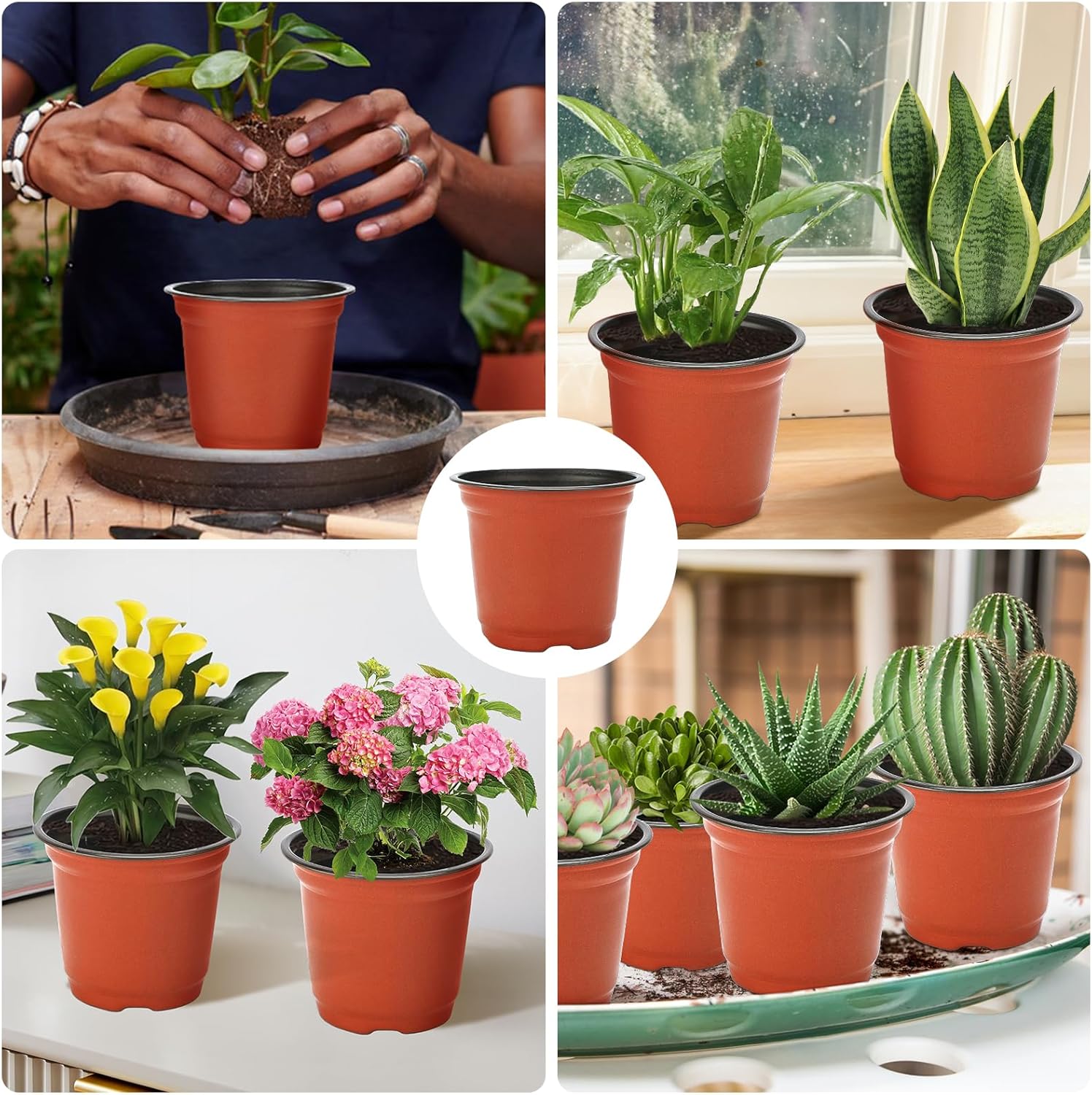Vasi Per Piante In Plastica Color Terracotta 12,7 Cm - Confezione Da 20 (4x5 Pezzi) - Ideali Per Interni/Esterni, Capacità 1L