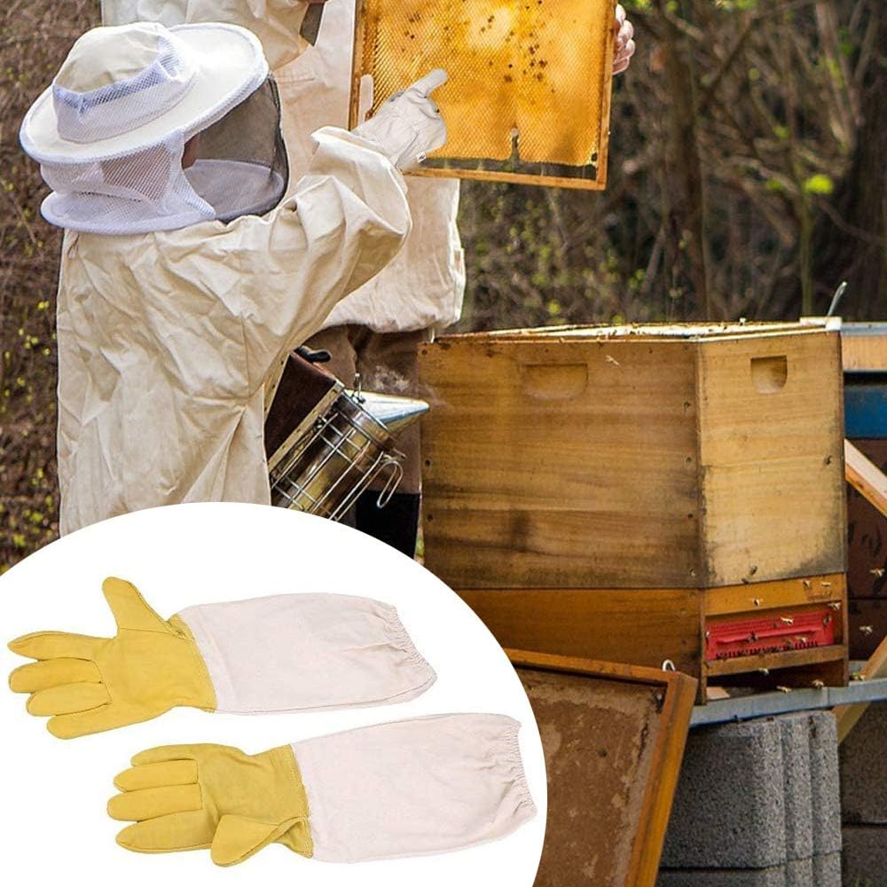 Vêtements D'apiculture avec des Gants combinaison apicole enfant - Coton à  Manches Longues, Protection De l'enfant, Fournitures D'apiculture (M, white)