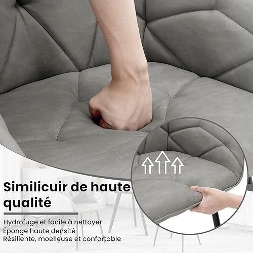 Chaise Ergonomique
