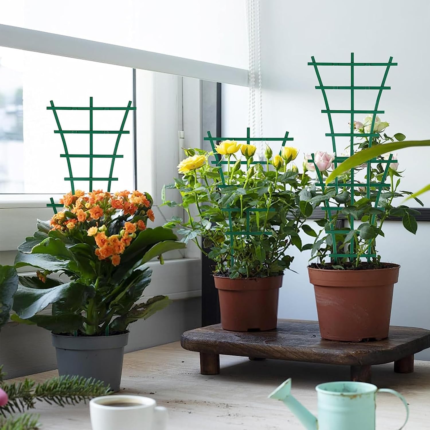 MINI SYSTÈME DE Treillis Empilable Pour Intérieur Pour Plantes