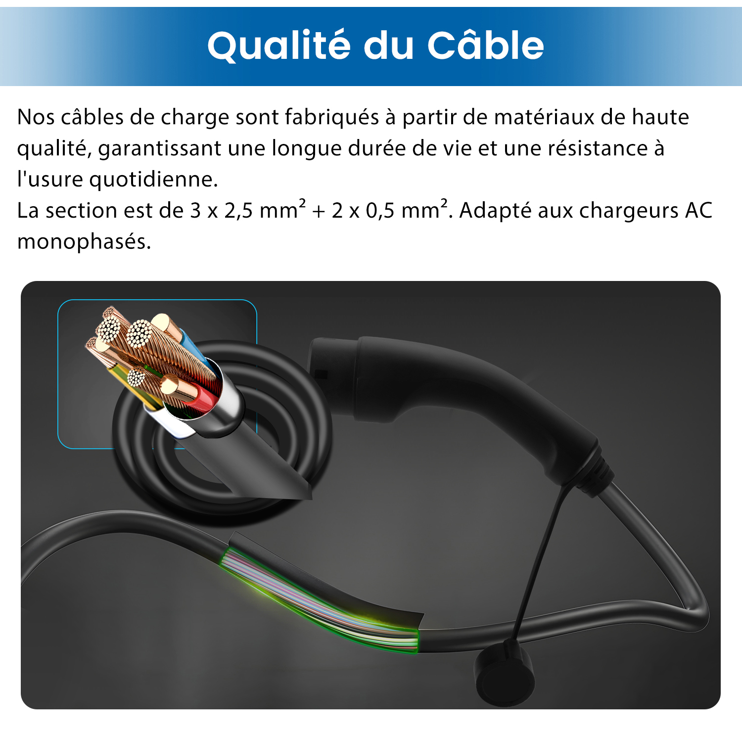 Câble de recharge