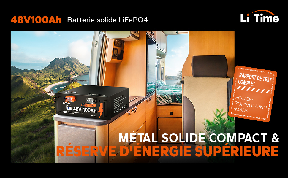 Batterie Lithium 48V 100Ah LiTime intégré 100A BMS et batterie de