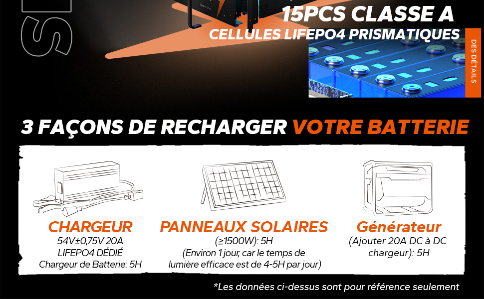 Batterie Lithium 48V 100Ah LiTime intégré 100A BMS et batterie de