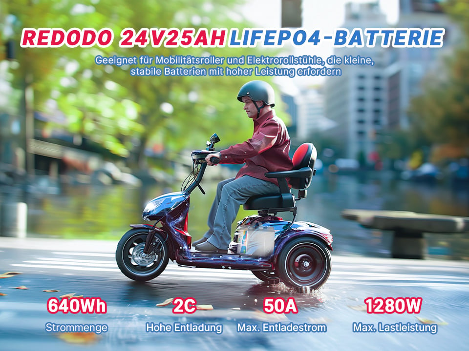 Redodo LiFePO4 Batterie lithium 24V25Ah, 50A BMS, 2C Taux de Décharge ...