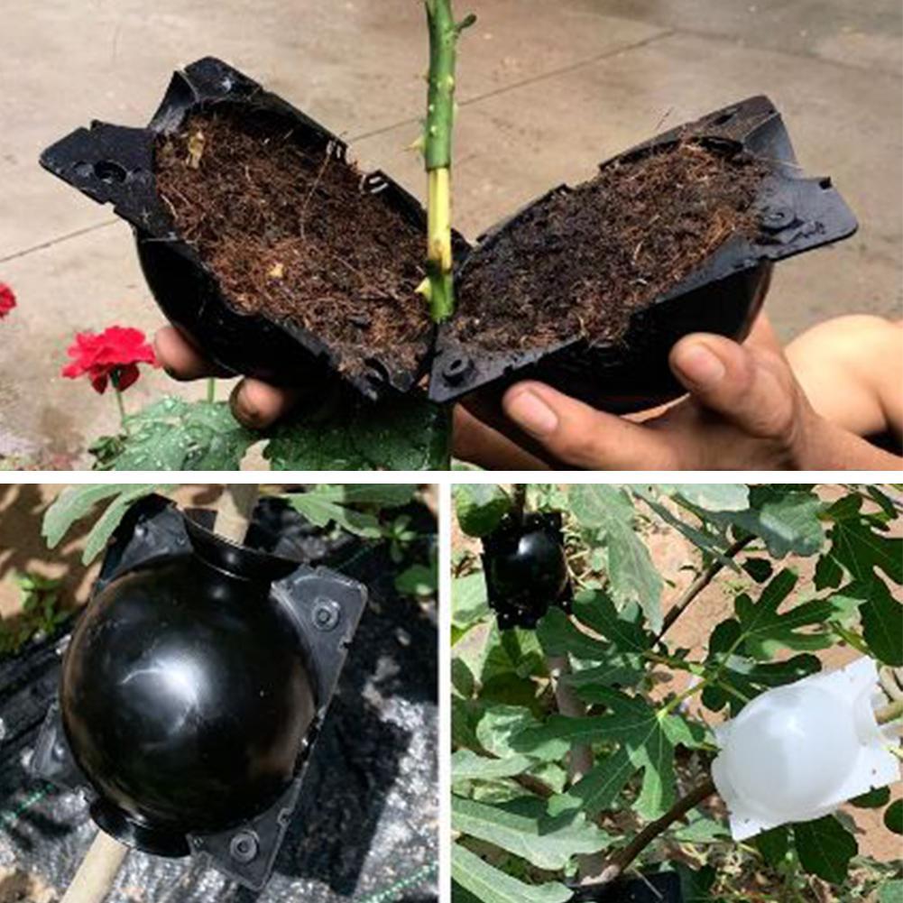 Enracinement De Plantes, Bote De Croissance Enracinement, Sac De Semis, étui De Culture, Bote De Propagation à Haute Pression Pour Plantes De Jardin，5 Trumpette Noire 5cm -Terre Tendre Soldes Boutique AAHKMJXYDAFdJAOAIMEbOAchoK7M5N0Bh9lUp89Gku6vt M8MVEN3agq1lveoYHmpMUaV3orKJQ6LTVGKS5bbD5 0X743 BkWK5nuO4cSGdKmA2cBMTF Unq20NbtnY3L