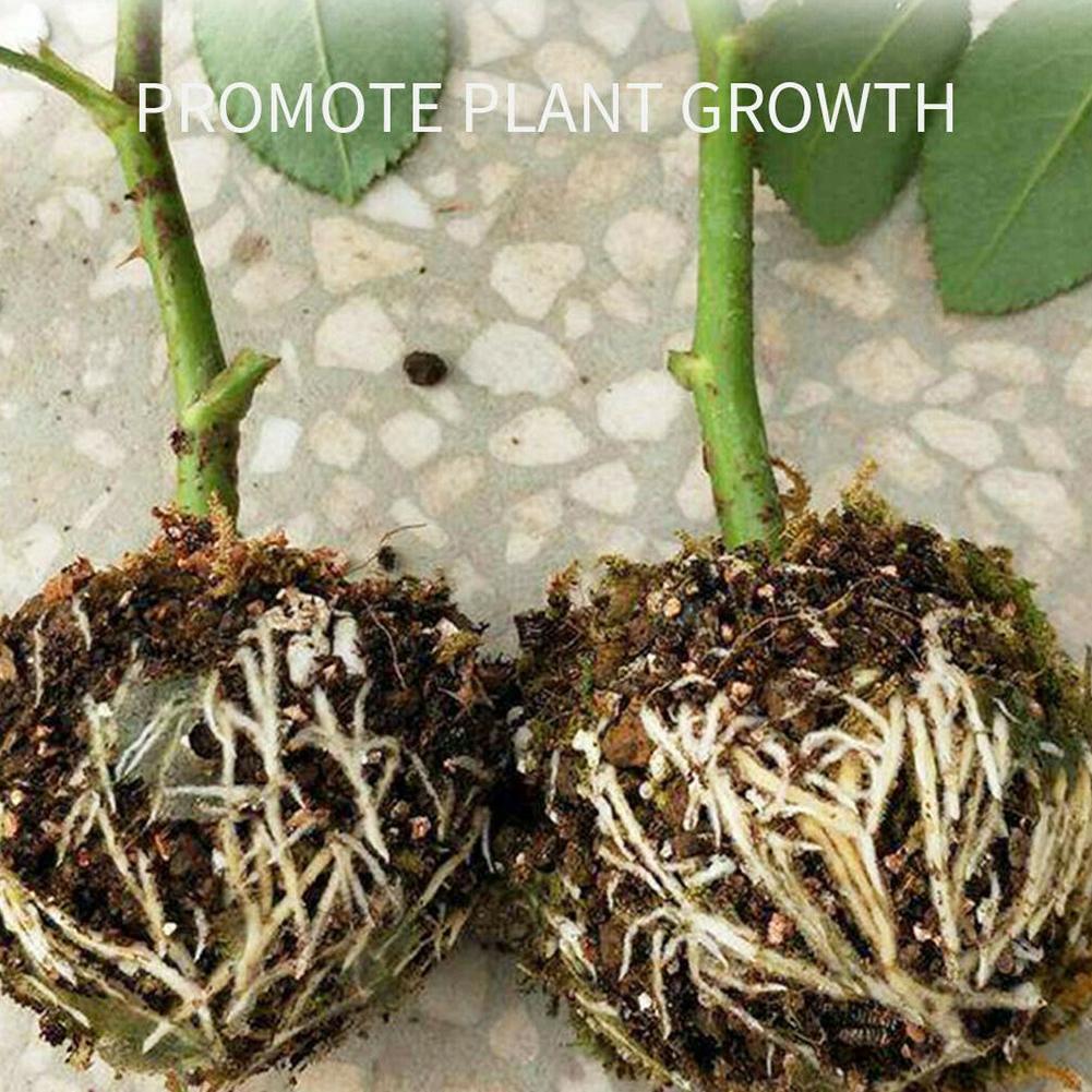 Enracinement De Plantes, Bote De Croissance Enracinement, Sac De Semis, étui De Culture, Bote De Propagation à Haute Pression Pour Plantes De Jardin，5 Trumpette Noire 5cm -Terre Tendre Soldes Boutique AAHKMJXYDAFdJAOAIMEbOAchoK7M5N0Bh9lUp89Gku6vt1eD7poTfLOd67stnsJ qYGFmkJWXNuUiQVTNXkSZSyZuHoIjXjvzne R7FdpD8HnixiIeWs9ic5GsCimU2Fmgcr