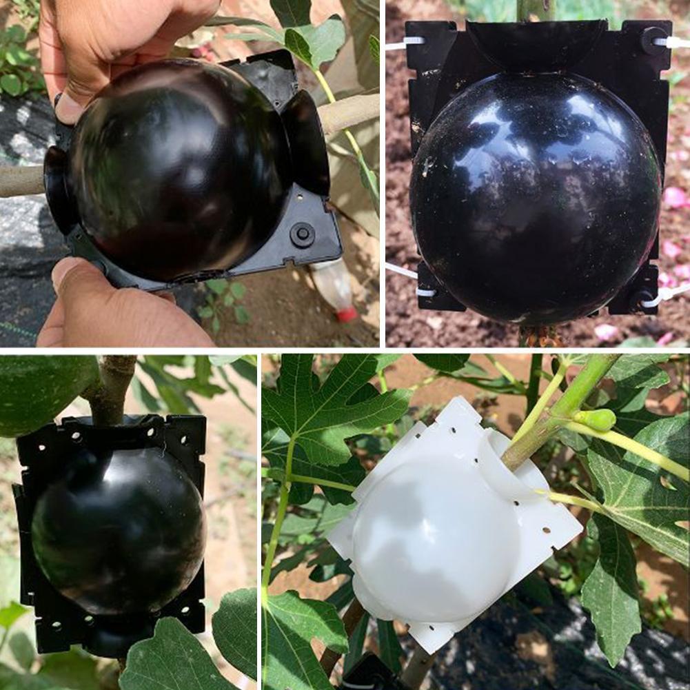 Enracinement De Plantes, Bote De Croissance Enracinement, Sac De Semis, étui De Culture, Bote De Propagation à Haute Pression Pour Plantes De Jardin，5 Trumpette Noire 5cm -Terre Tendre Soldes Boutique AAHKMJXYDAFdJAOAIMEbOAchoK7M5N0Bh9lUp89Gku6vt1hvChUgaovAr3SqcAmmHy