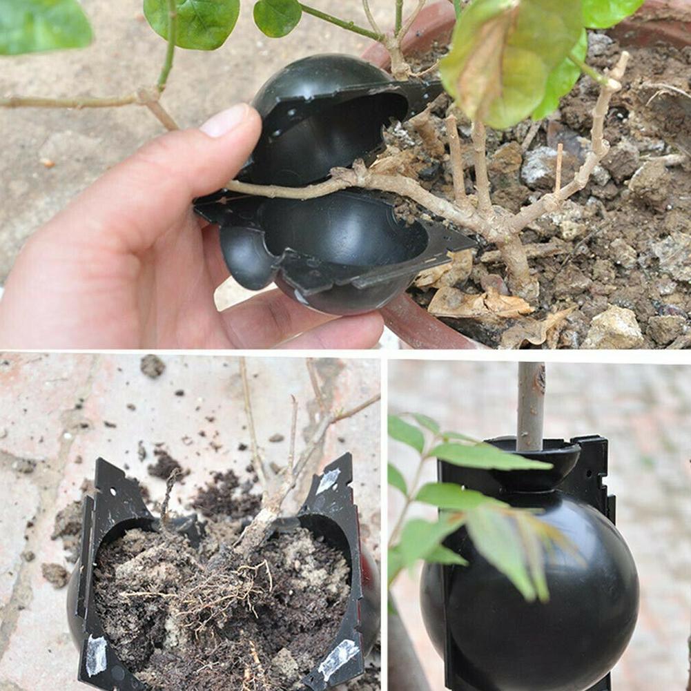 Enracinement De Plantes, Bote De Croissance Enracinement, Sac De Semis, étui De Culture, Bote De Propagation à Haute Pression Pour Plantes De Jardin，5 Trumpette Noire 5cm -Terre Tendre Soldes Boutique AAHKMJXYDAFdJAOAIMEbOAchoK7M5N0Bh9lUp89Gku6vt9bBuSE2GBcvpUdrnDrcXOp3JixNT4ZuxPP0wXMwvxAX2zCnHWUf4tRp0yDcpjYAHyMPDIi3 vG4ewkGmwcl2xs2rJo2h2eZi7YBe 7awi9Jz2fX89 UdqLSs1hYQBAiOw==