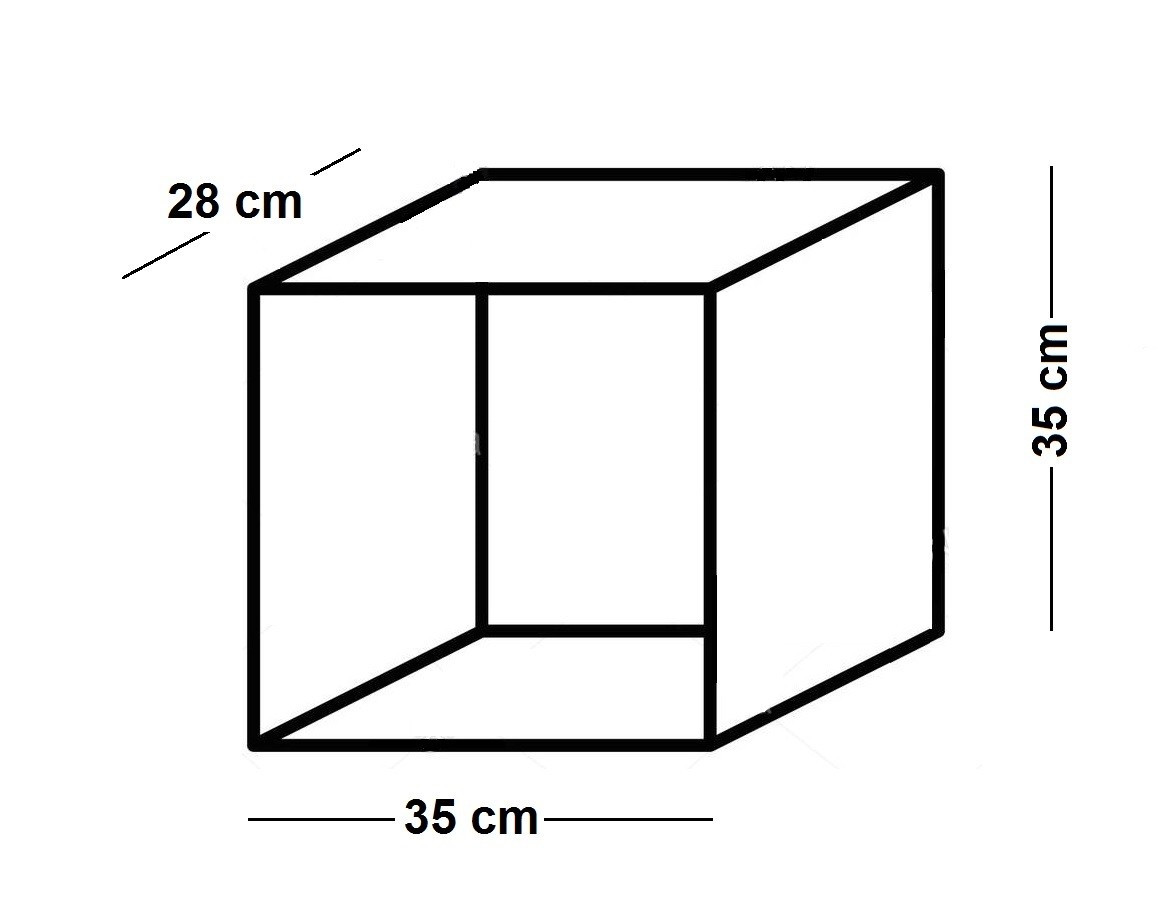 45241.jpg