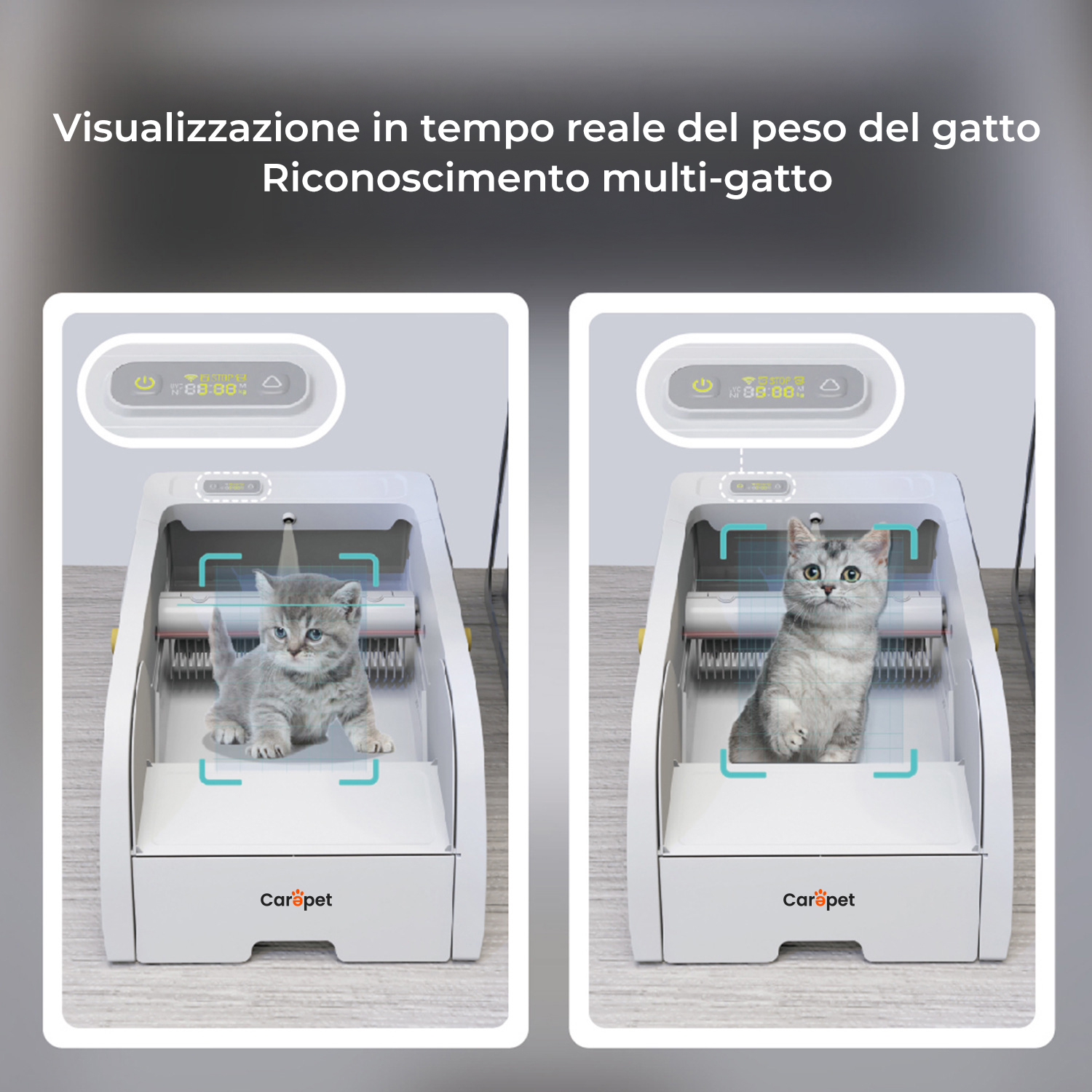 Carepet utilizzo e controllo