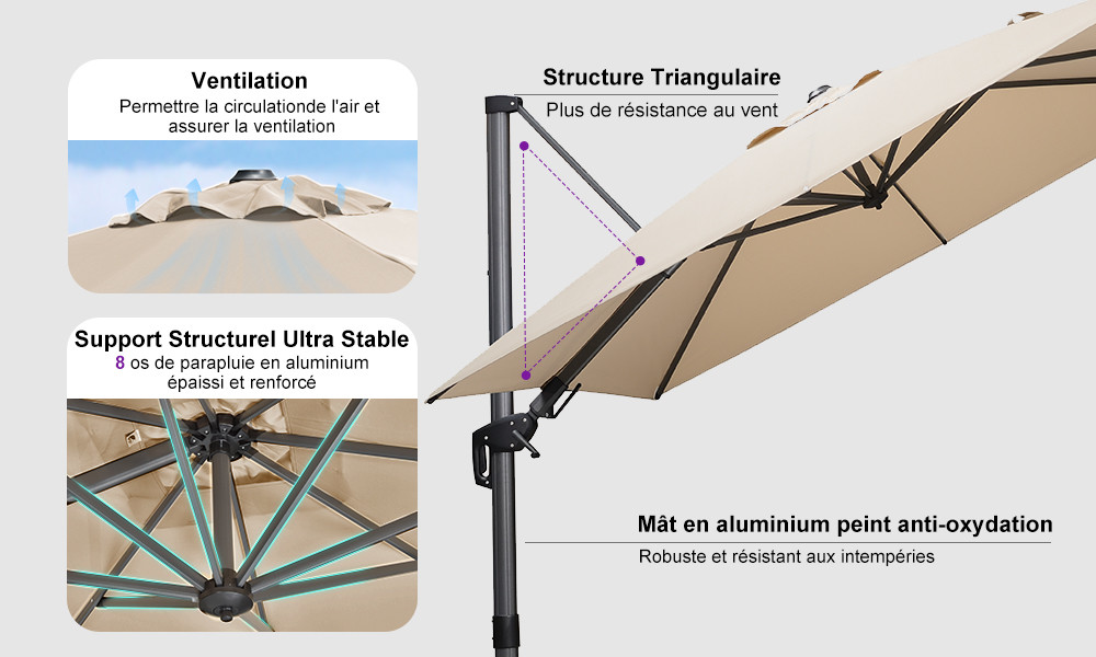 Parasol 4