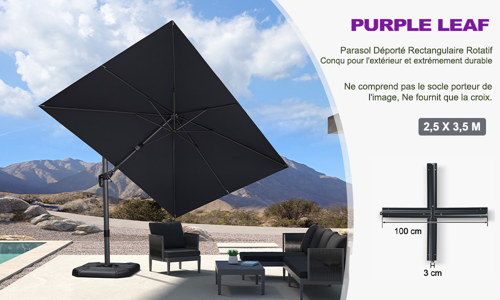 Parasol 1