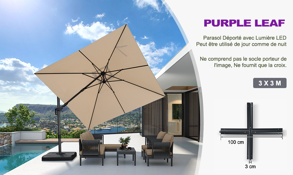 Parasol 1