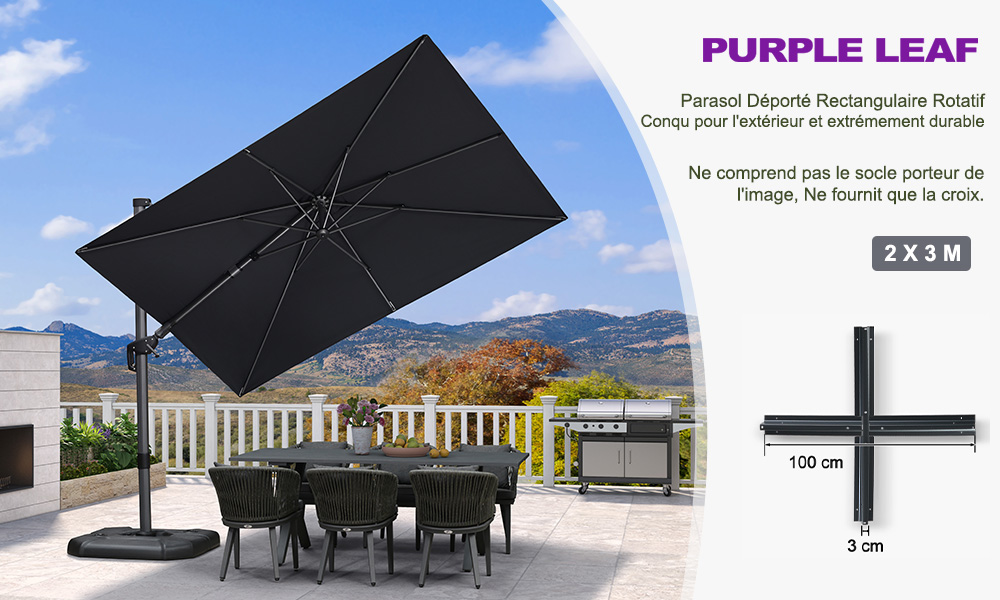 Parasol 1