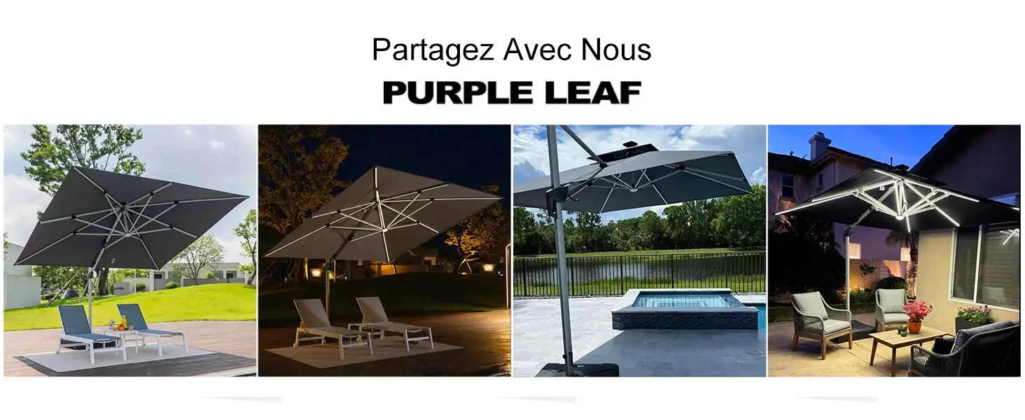3_69539100-1ad3-4c13-96e5-4c58476596d8.webp