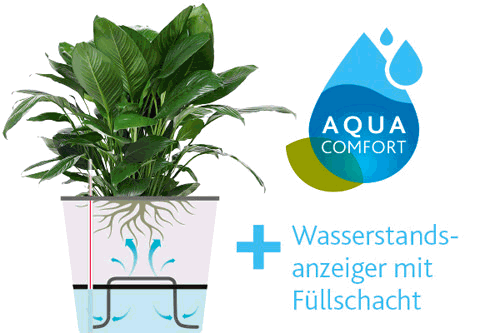 Aqua Comfort Bewässerungssystem
