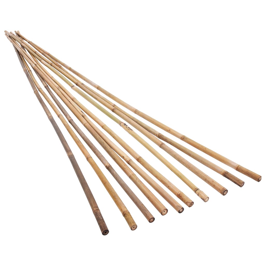 Piquets de jardin Bambou 50 pcs 120 cm Piquets de jardin Bambou 50 pcs 120 cm