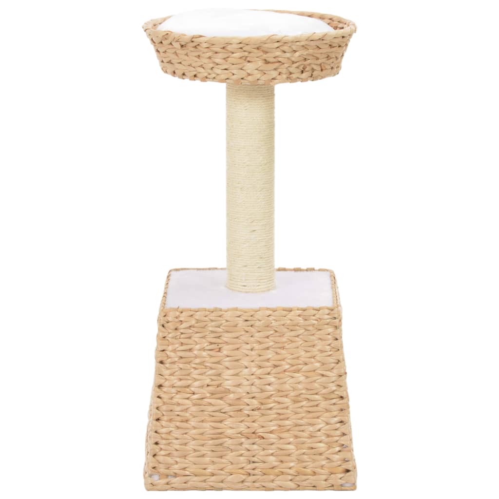 Seagrass sales cat scratcher