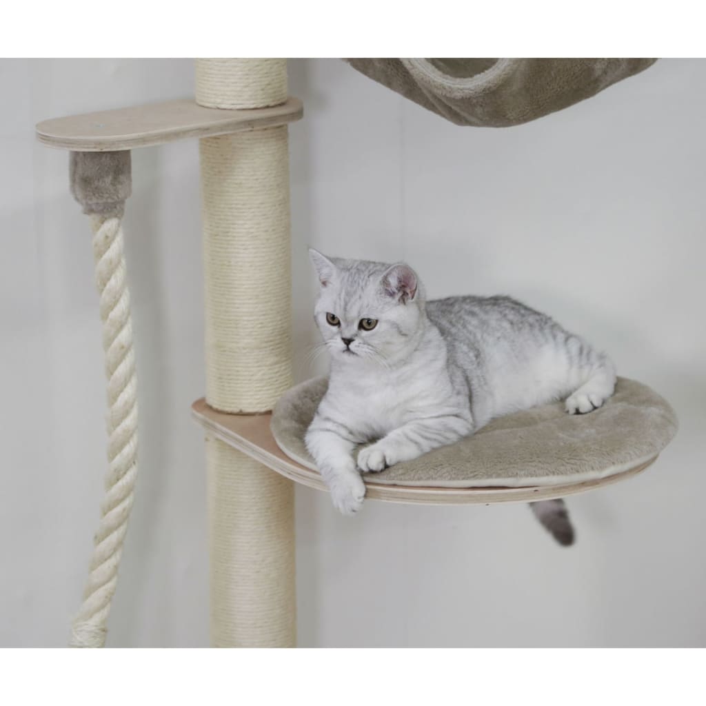 Alberto cat scratching sales post