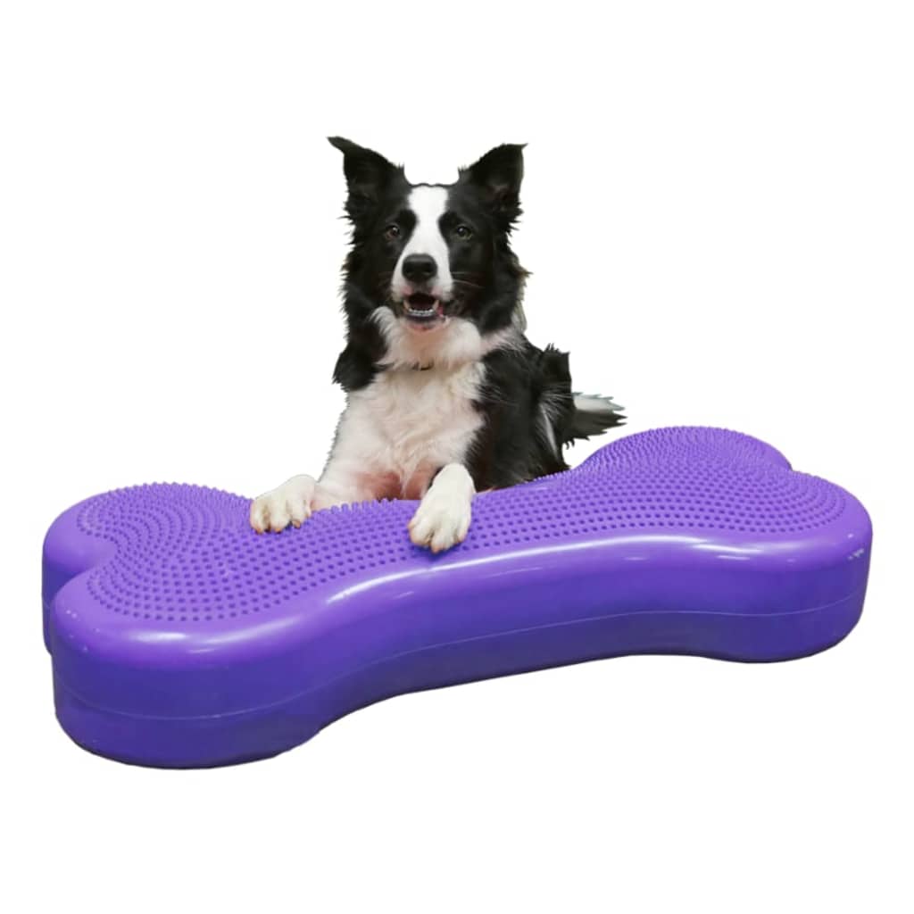 Fitpaws giant 2024 rocker board