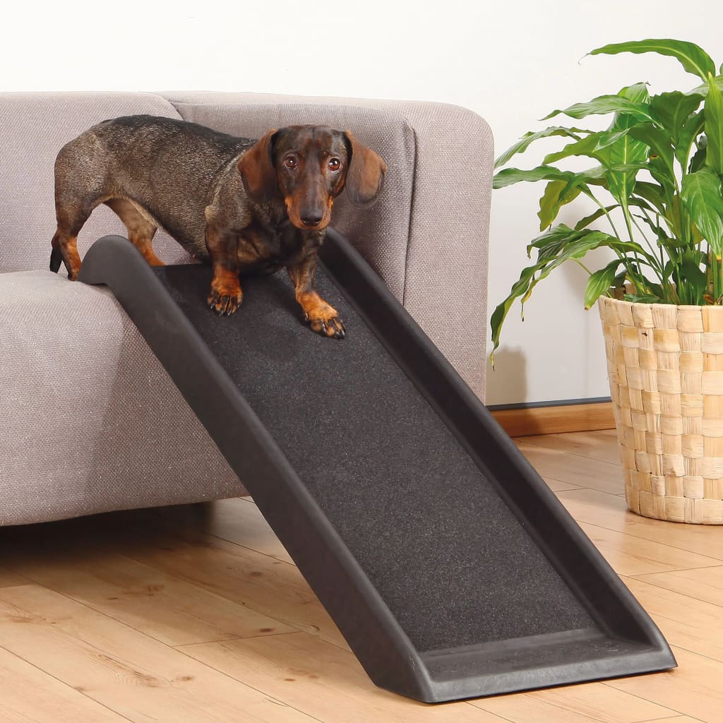 rampe pour glisser 8 lettres