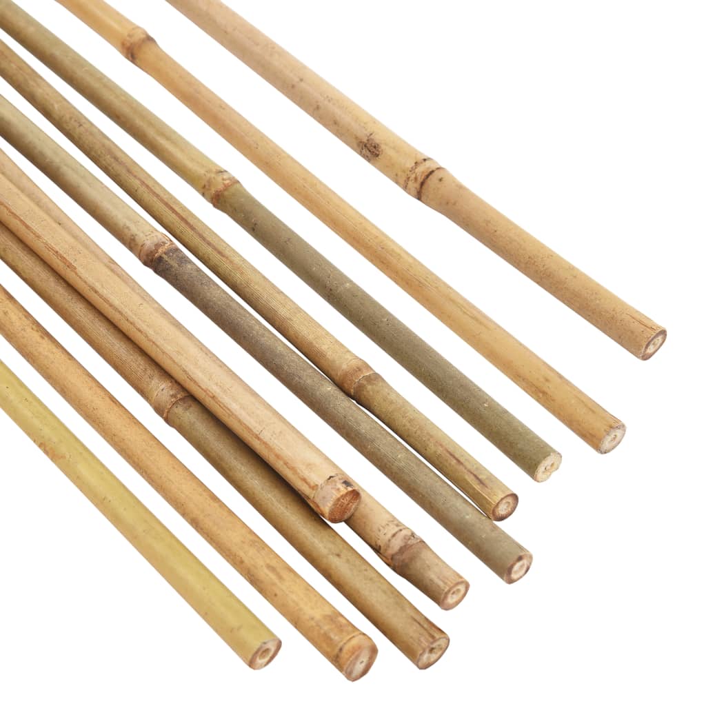 Piquets de jardin Bambou 50 pcs 150 cm Piquets de jardin Bambou 50 pcs 150 cm