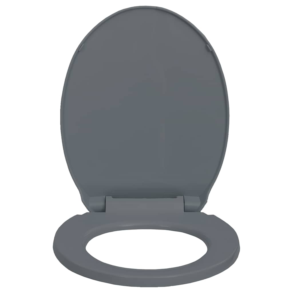 Toilettensitz