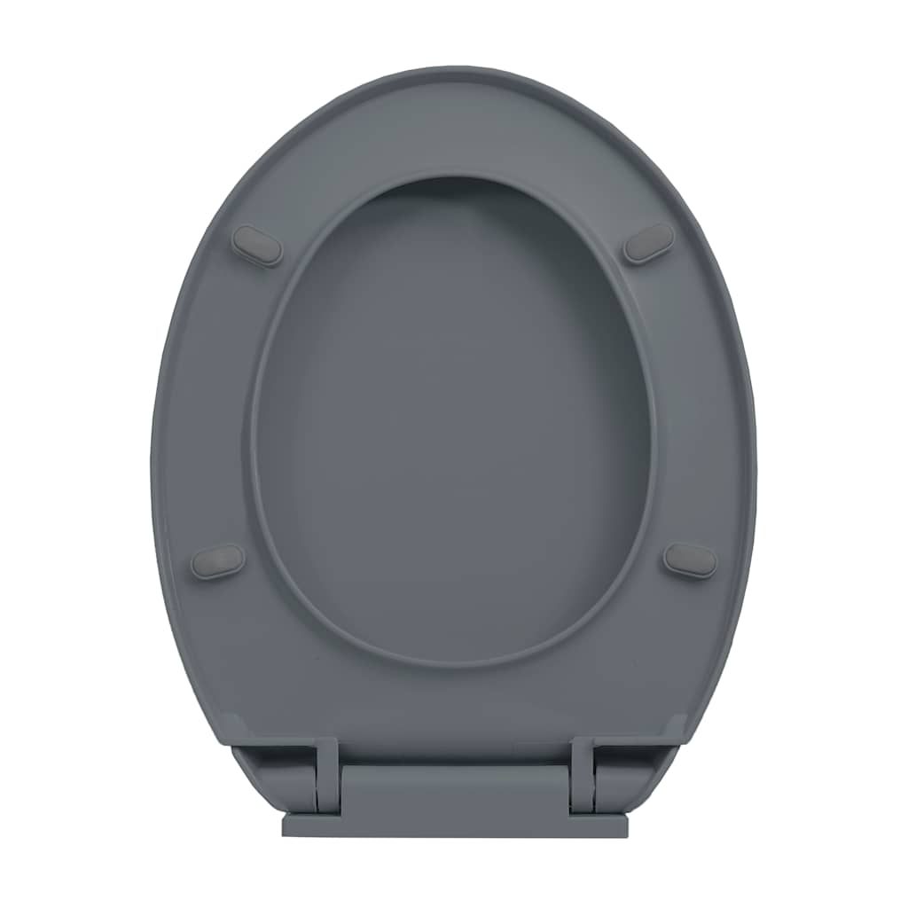 Toilettensitz