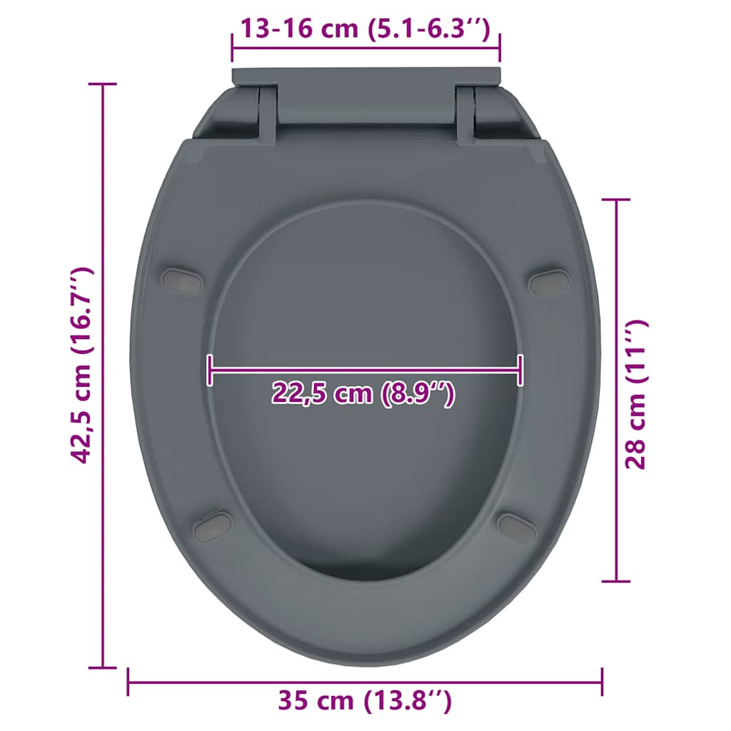Toilettensitz