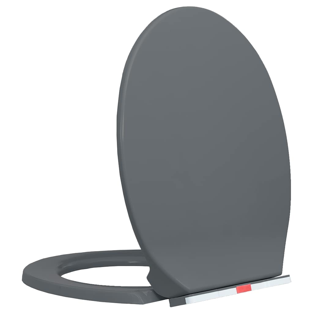 Toilettensitz