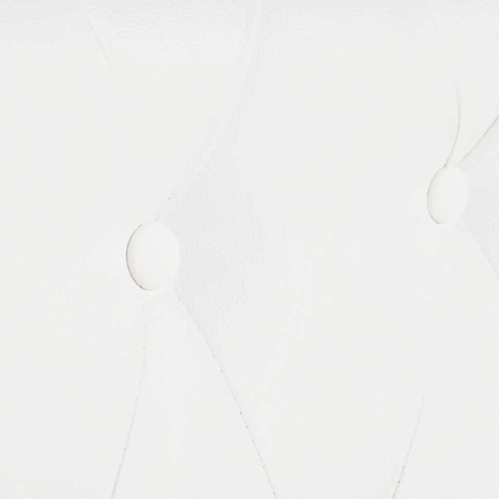 Divano Chesterfield A 2 Posti Divano Fisso Sofa Da Soggiorno In Pelle Artificiale Bianco ITD26730 -Negozio al dettaglio VIDAXL || HOMCOM || Songmics AAHKMJXYDAFdJAOAIMEbOAchtTzbsWMnceblMk5y4